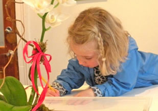 arthouse for kids, raleigh nc